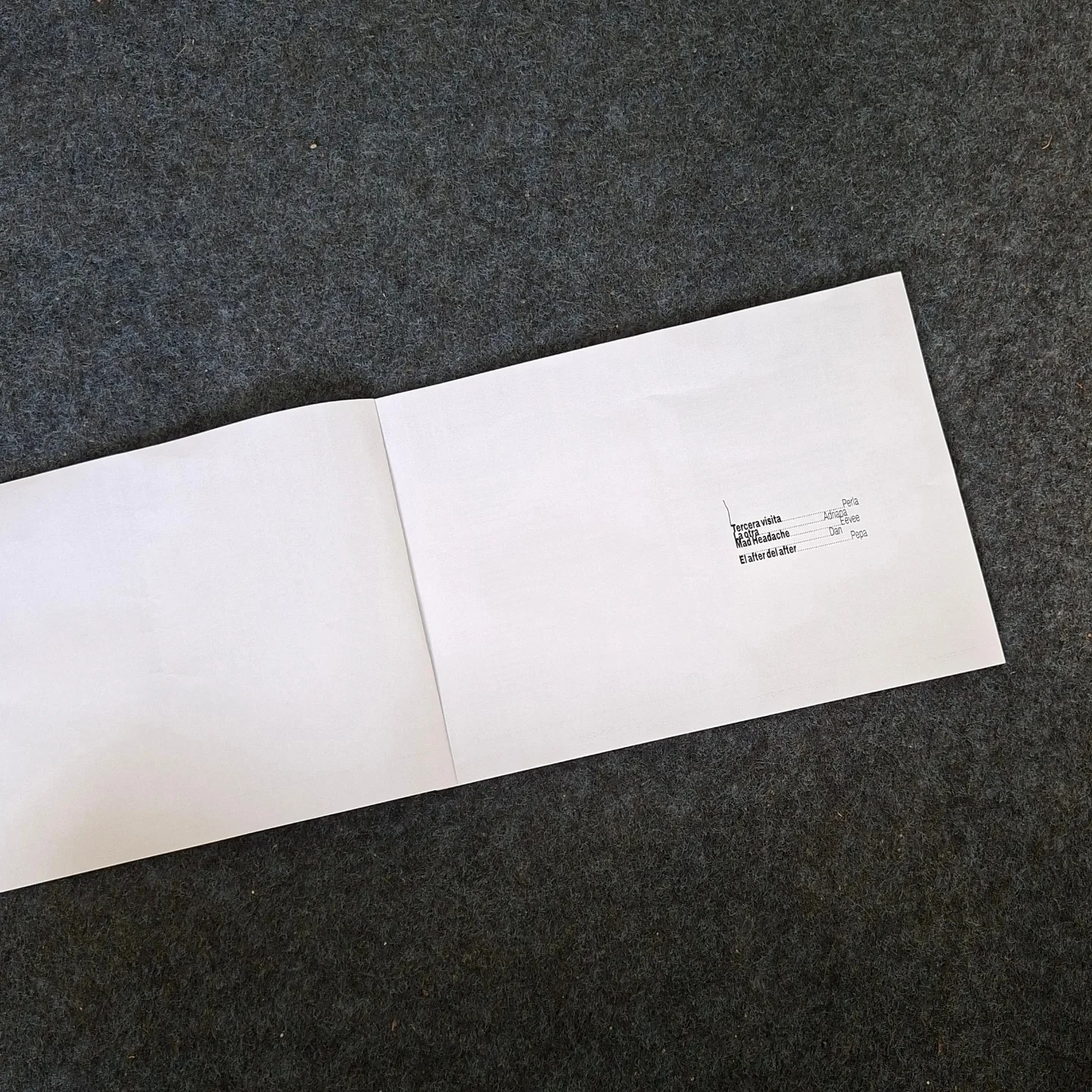 The Death of a Cosmic Ray — Anthology of Death Poems, Galerie Podchod, 2025. Dan Aparicio: Curadoria de textos (imatge 2)